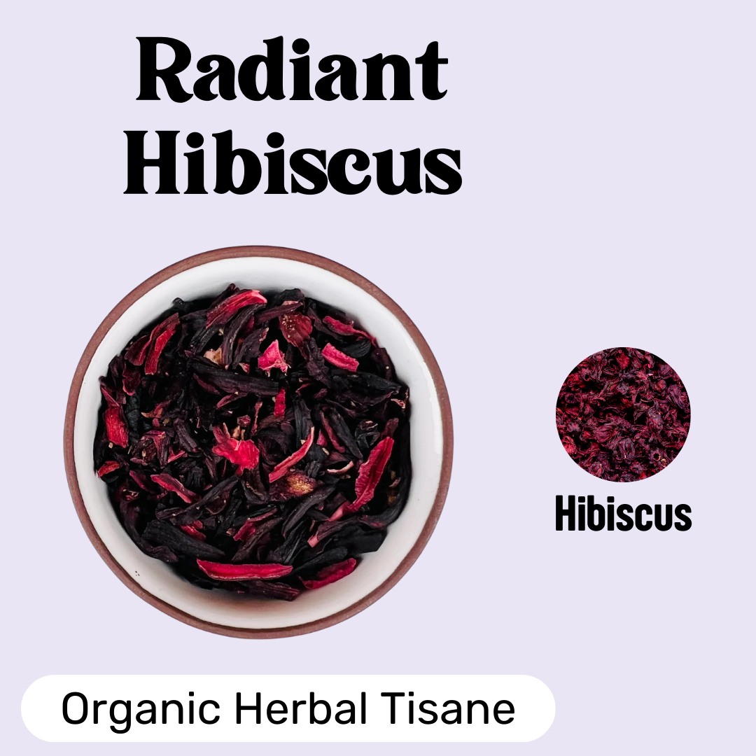 Radiant Hibiscus