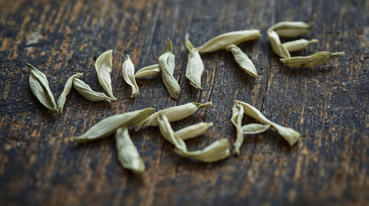 The Gentle Craft of White Tea