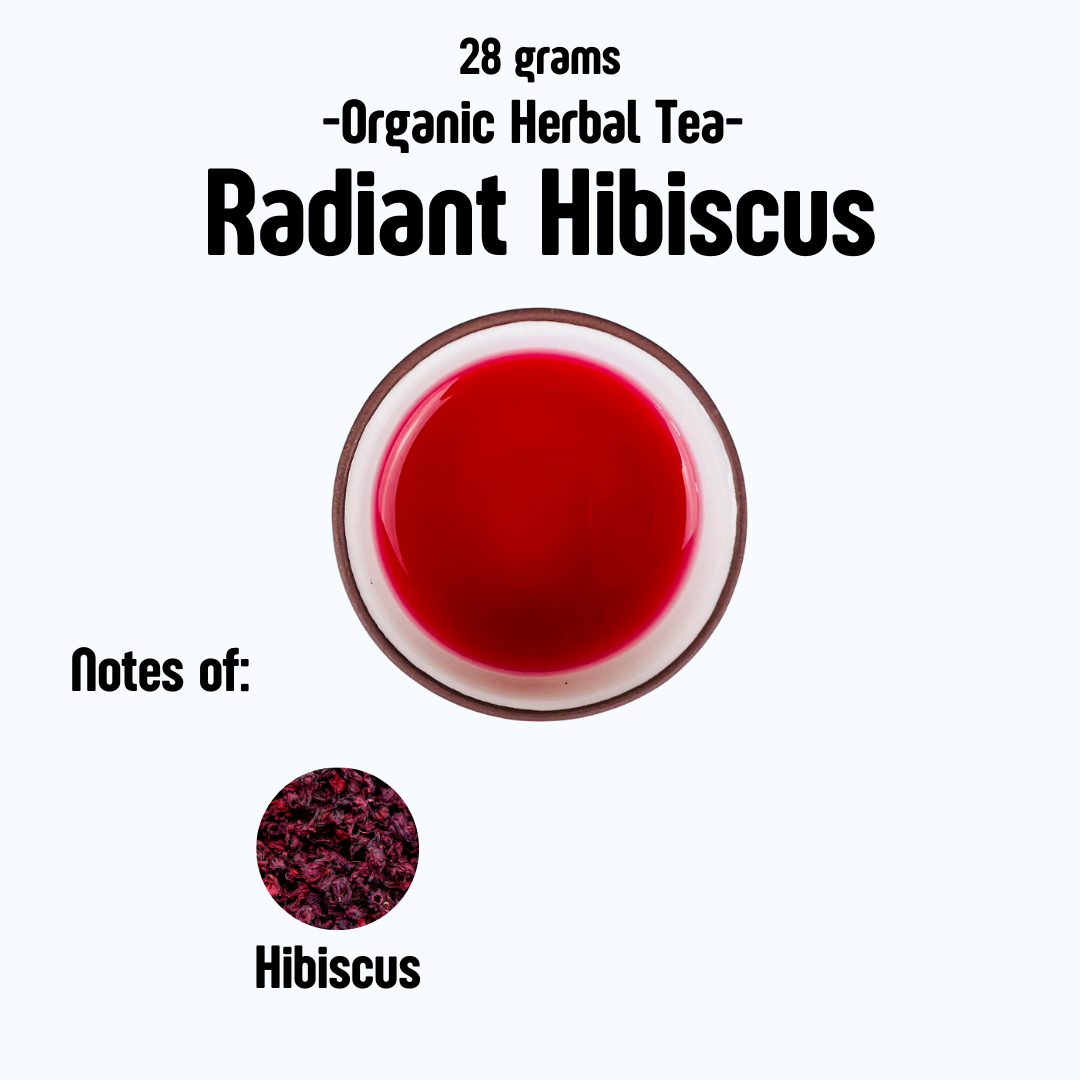 Radiant Hibiscus